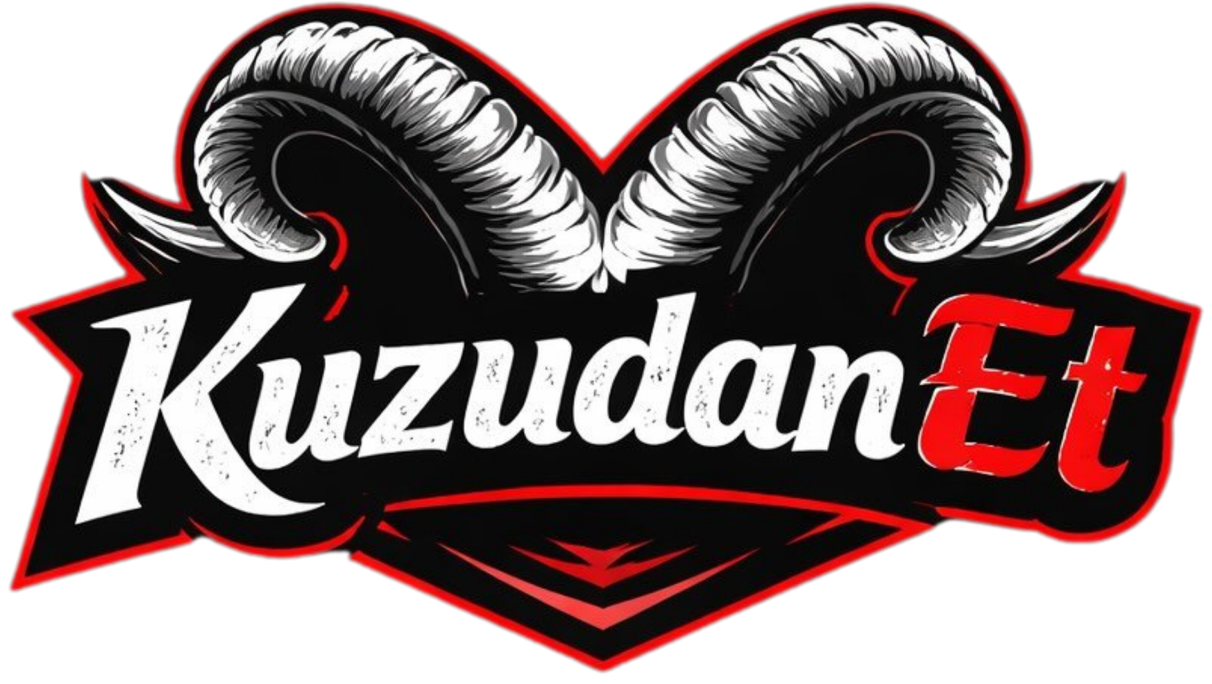 kuzudanet.com